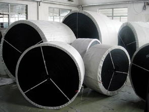 佳木斯食品输送带