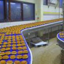 橡胶食品输送带 价格、批发渠道与优质厂家全解析