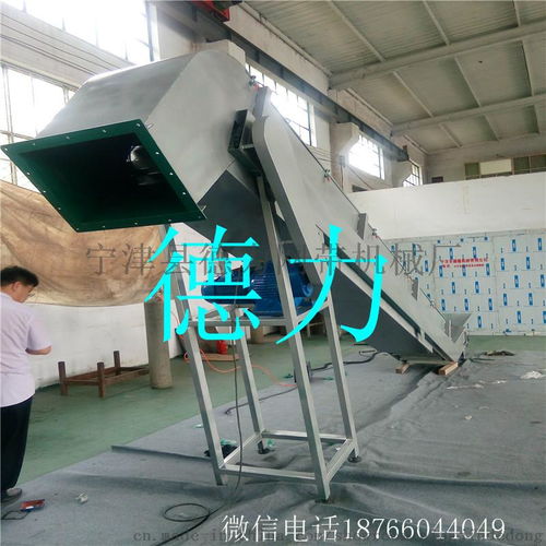 食品厂专用移动高侧板耐高温输送设备的优势与应用